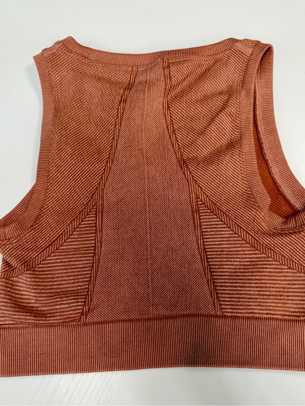 aerie Rust Ribbed Seam Crop Tank - Picture 3 of 3